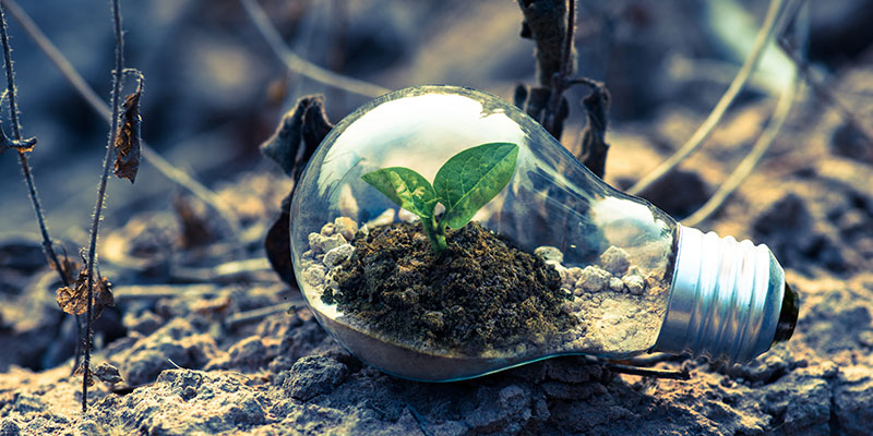 游艇会yth·(中国区)官方网站